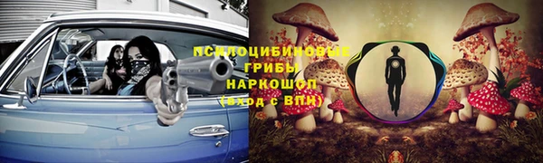 хмурый Елизово