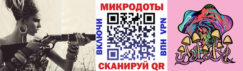 блэк спрут tor  shop наркотические препараты  Галлюциногенные грибы Psilocybine cubensis  закладка  Питкяранта 